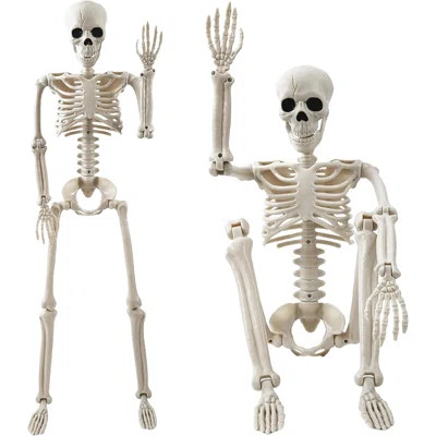 Halloween Decorations Outdoor 2 Pack 36" Life Size Posable Human Skeleton Decor Indoor Halloween Decor For Graveyard Haunted House Yard Patio Lawn Gar | Wayfair North America