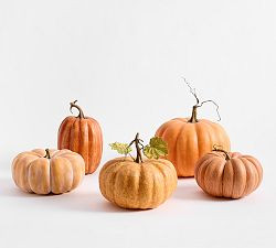 Faux Pumpkins &amp; Gourds - Set of 5 | Pottery Barn (US)