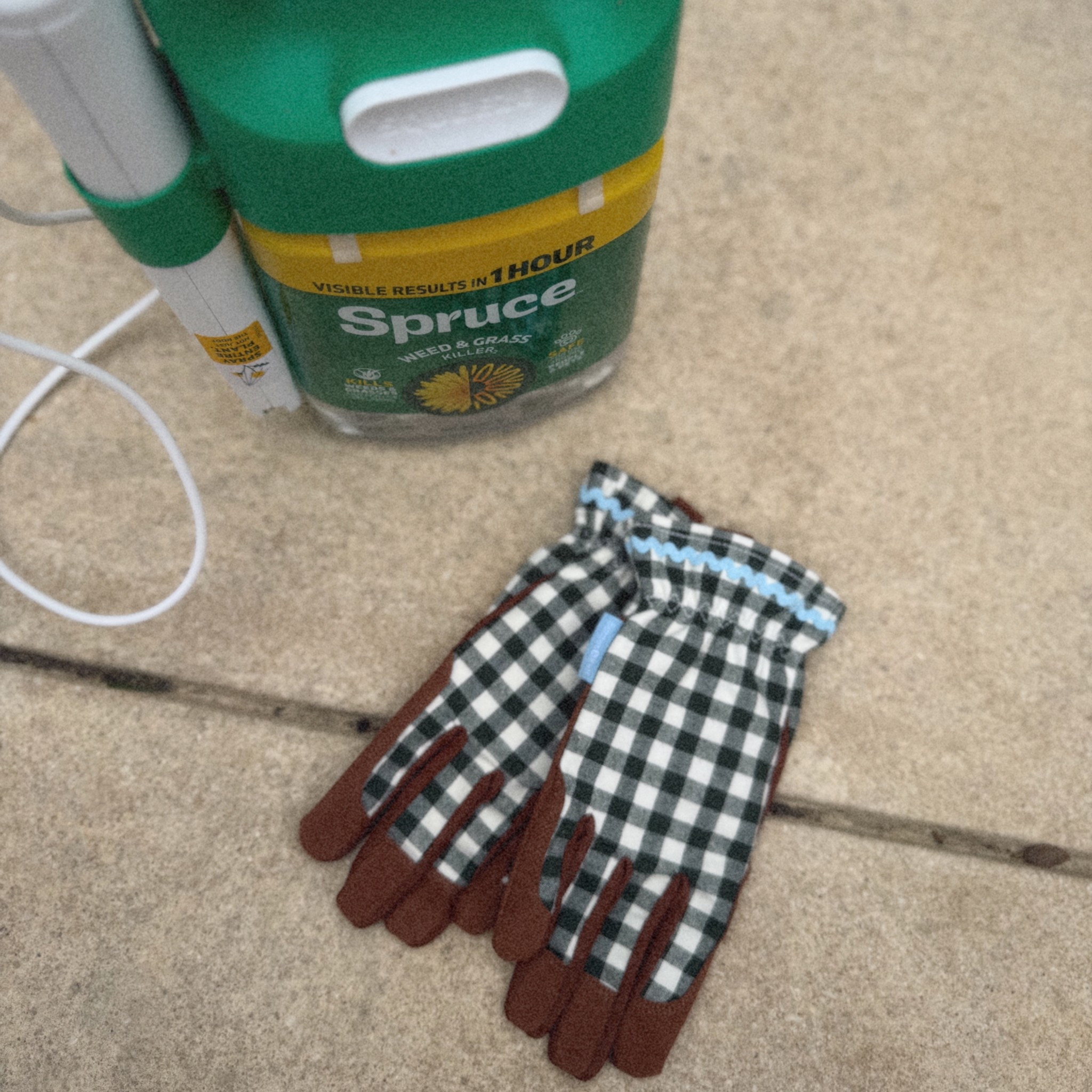 chic gardening gloves? yes please 💅🏼

#LTKHome #LTKSeasonal #LTKdayinmylife