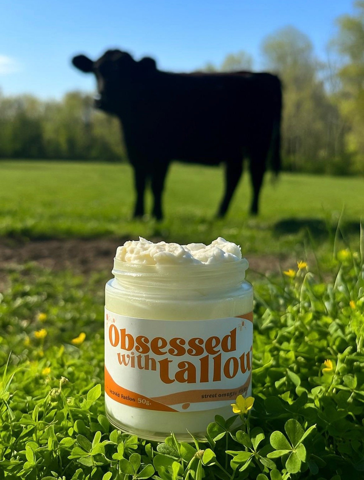 If you’ve been looking for truly clean, farm-made skincare… this is it. 🤍

I recently grabbed the BOGO sale from Obsessed with Tallow and I am officially obsessed. The texture is perfectly whipped (not greasy!) and the smell is light, clean, and natural — nothing artificial.

I bought a 4-pack for Easter gifts for my girls (15-year-old daughters + my 10 & 4-year-old nieces), and I love knowing they’re using:

✔️ Grass-fed beef tallow
✔️ Non-toxic skincare
✔️ Simple, farm-sourced ingredients
✔️ No hormone disruptors

Tallow is incredible for:
• Acne-prone skin
• Dry skin
• Teen skincare routines
• Sensitive skin
• Clean beauty swaps

If you’re trying to switch to non-toxic skincare, grass-fed tallow moisturizer is one of the easiest swaps to make.

Farm-made. Simple ingredients. Glowing skin. 🌿

#LTKSaleAlert #LTKmomlife #LTKSpringSale