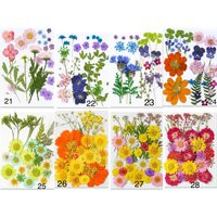 Dried Pressed Flowers & Leaves For Resin, Ready To Ship, Jewelry Diy, Resin Supply, Wedding Card Making, Floral Arrangement, Frame Decorations | Etsy (US)