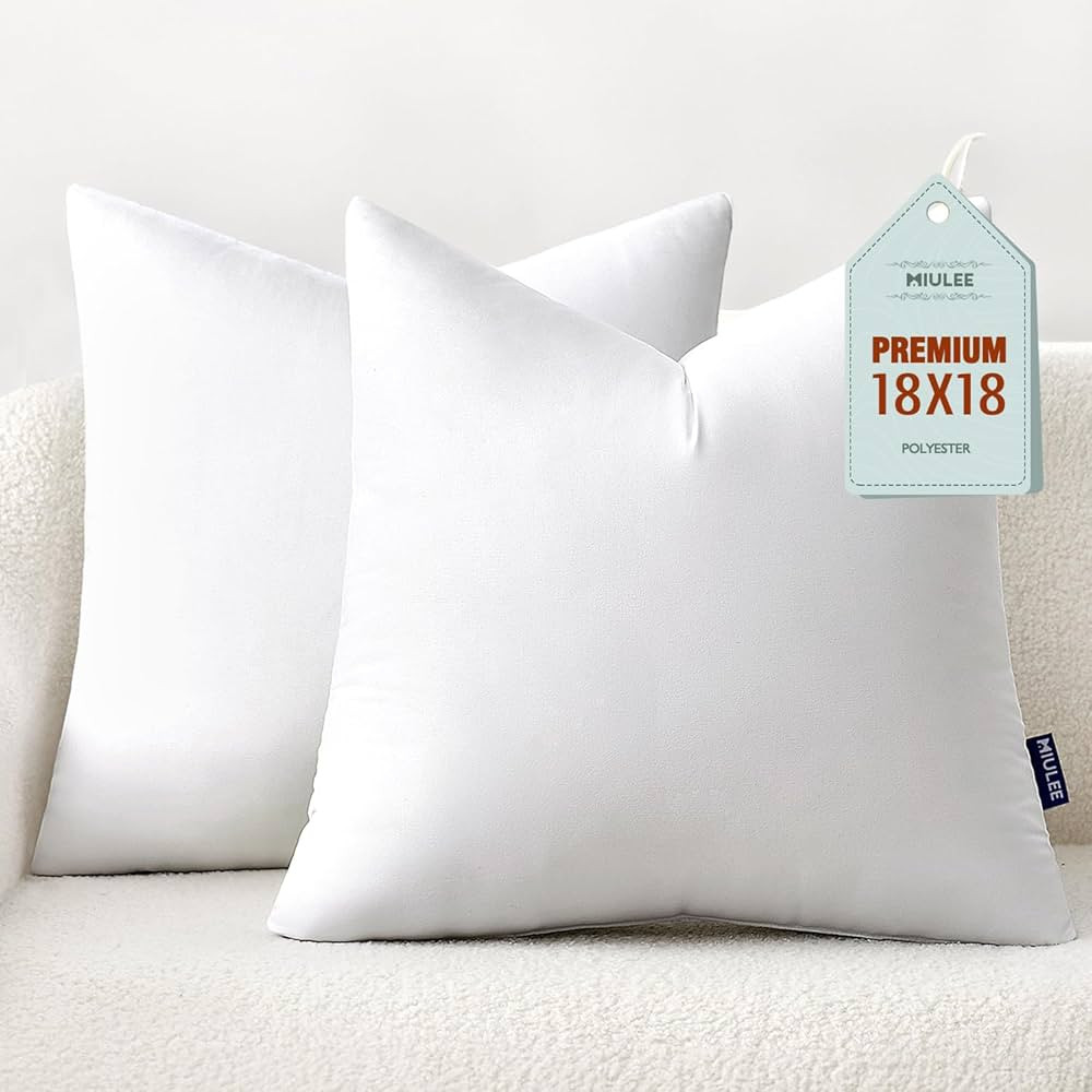 MIULEE 20x20 Inches Pillow Inserts Pack of 2, Decorative Throw Pillow Inserts for Couch | Amazon (US)