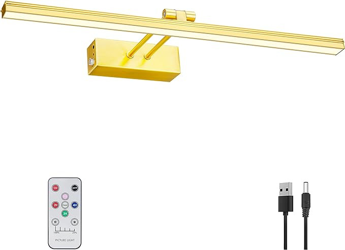 FUNCHDAY Picture Light,20" Battery Picture Light for Wall,5000mAh Wireless Remote Painting Light ... | Amazon (US)