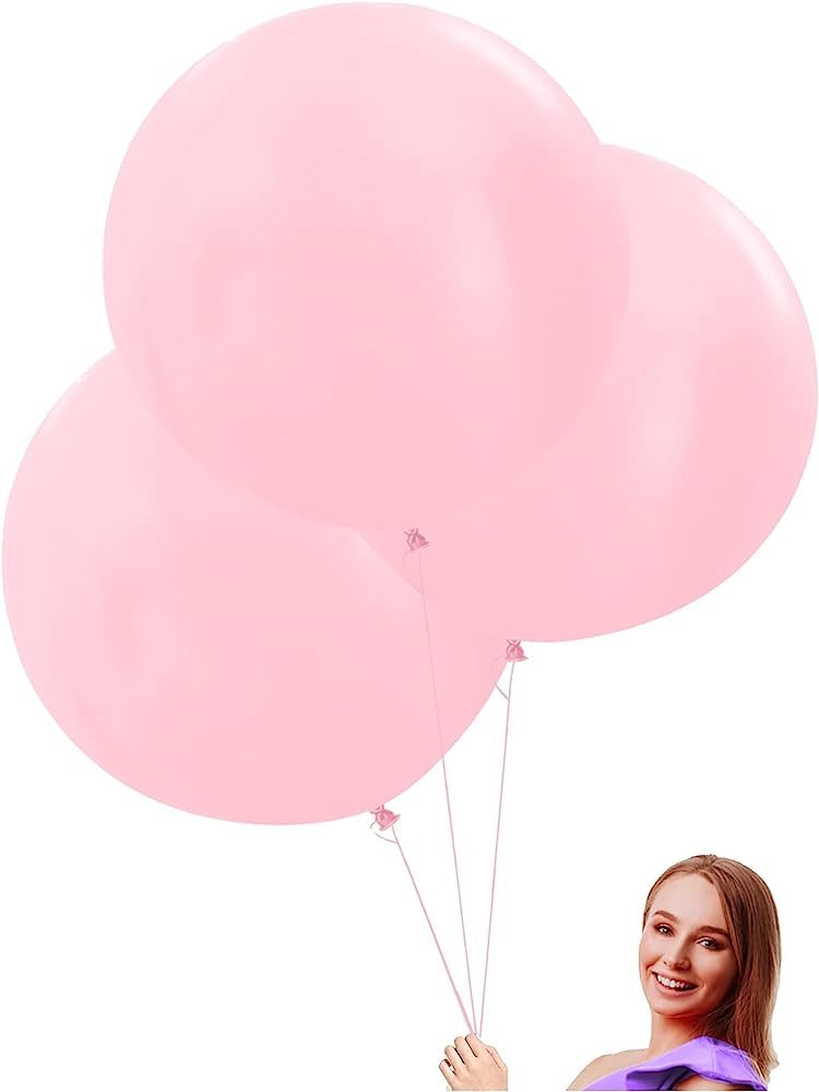 24 inch Pastel Pink Large Round Balloons Macaron Pink 10 Pack Thick Jumbo oversized Balloons for Wed | Amazon (US)