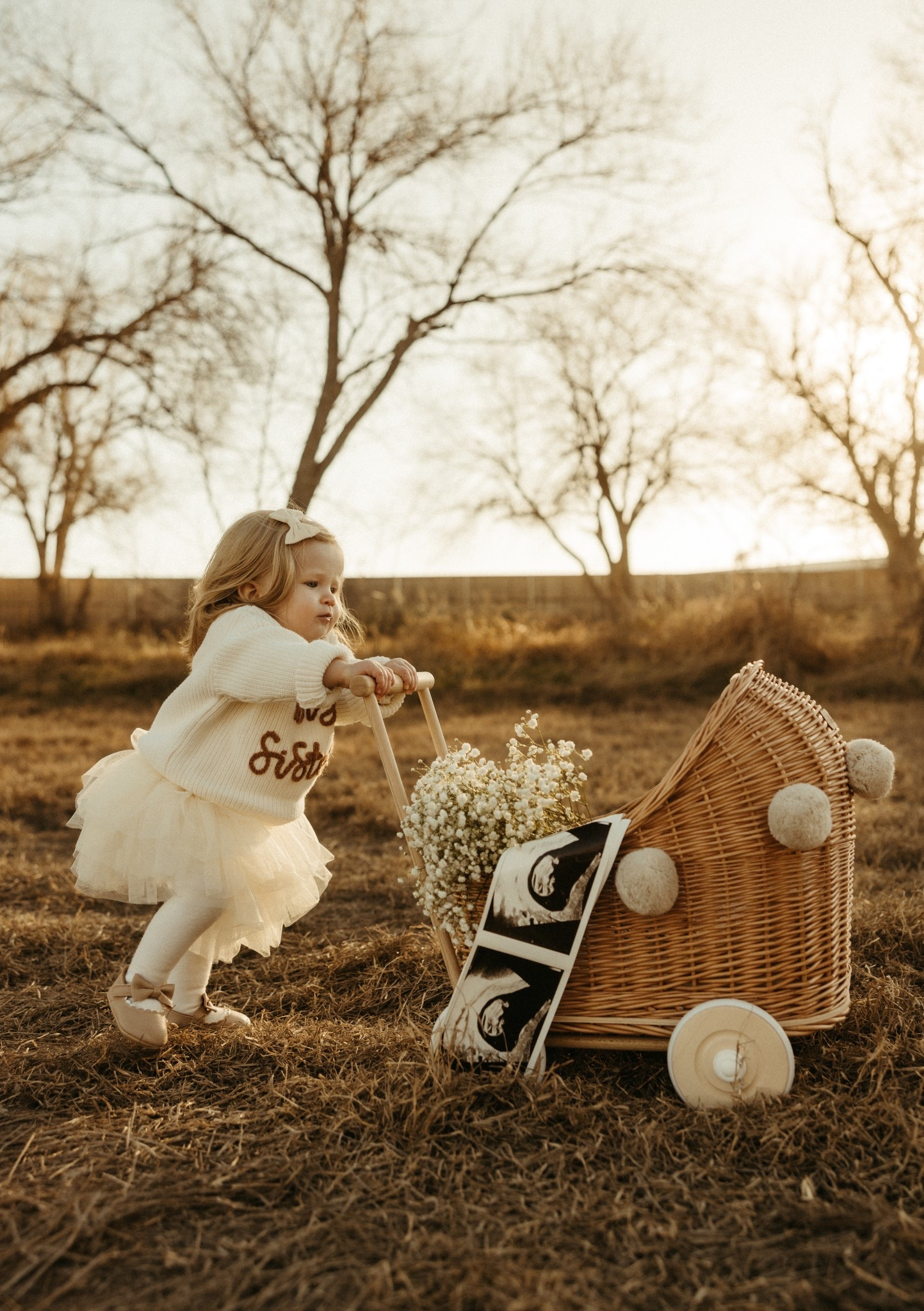 Pregnancy announcement 


#LTKBaby