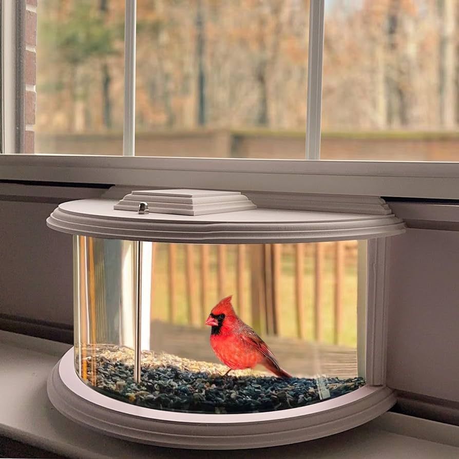 in Window Bird Feeders for Viewing - 180° Clear View Bird Feeder, Durable, Elegant in-Window Bir... | Amazon (US)