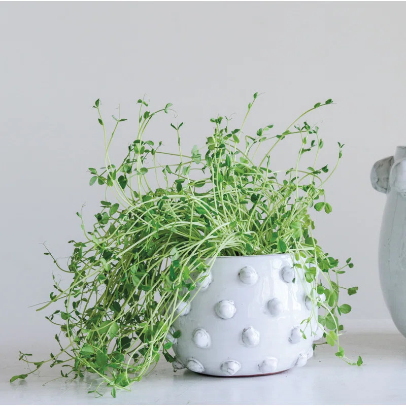 Barnett Terracotta Pot Planter | Wayfair North America