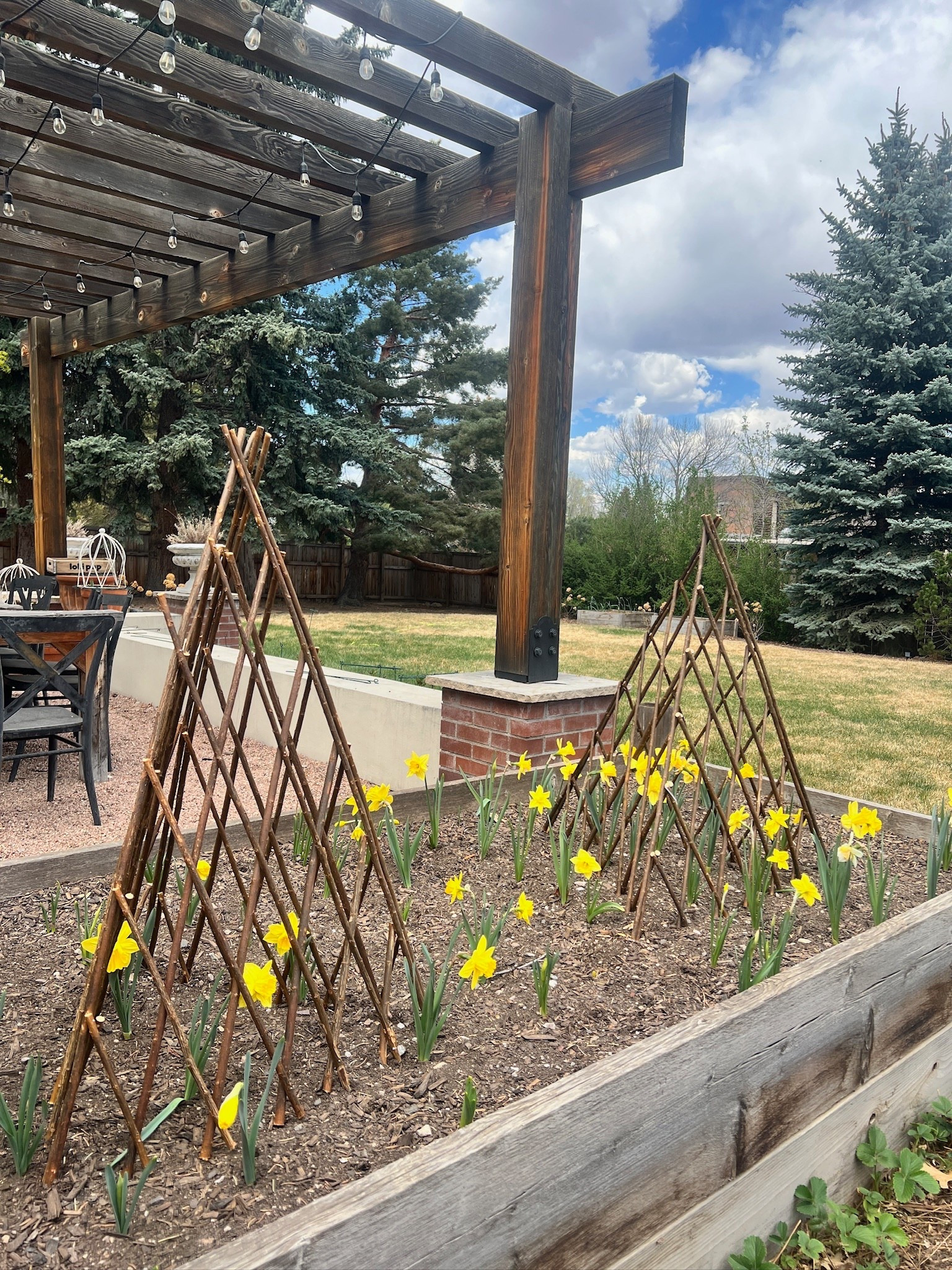 Love these willow trellises I currently have set up in one of my garden beds 🌼

#LTKSeasonal #LTKHome #LTKSaleAlert