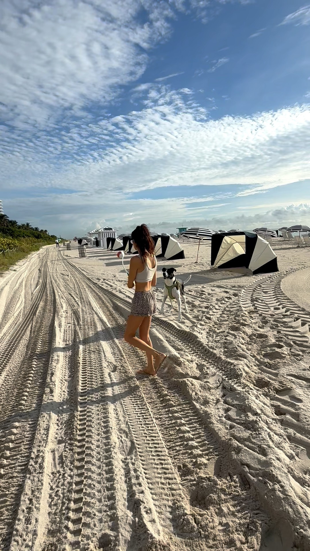 Your dog needs one too! 