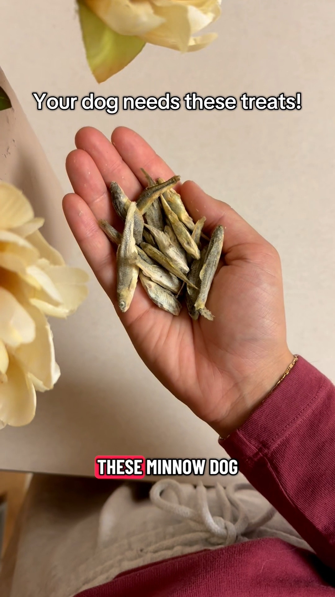 Our pups can't resist these little fishies 🐾🐟  Yours will go crazy too!

#dogtreats #singleingredientdogtreats #minnows

#LTKPets