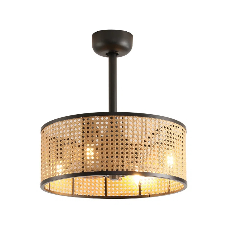 Paynesville 18'' Ceiling Fan with Light Kit | Wayfair North America