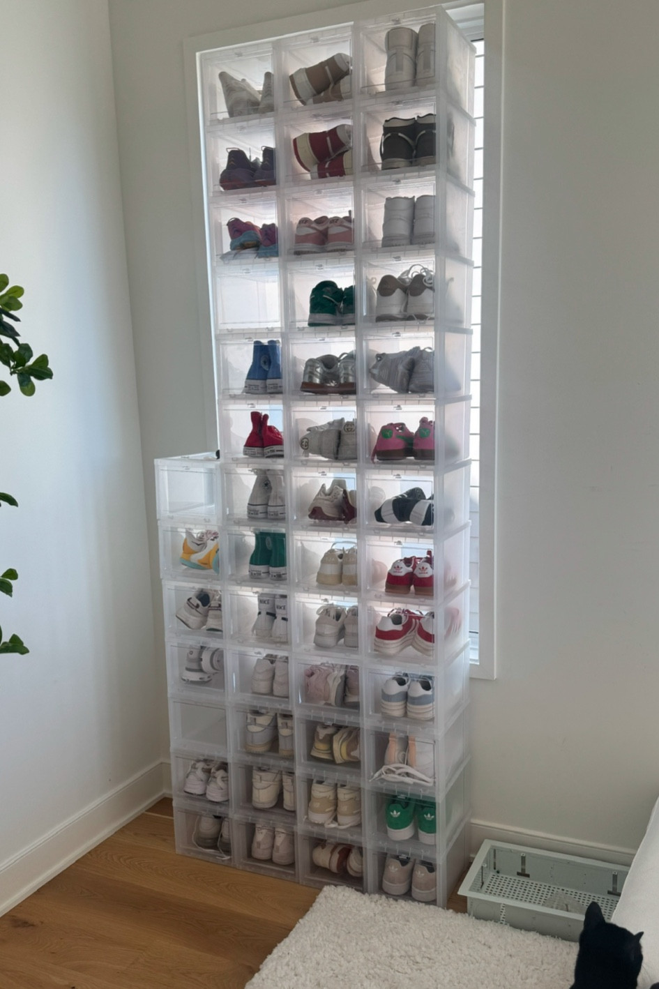 Sneaker storage bins 