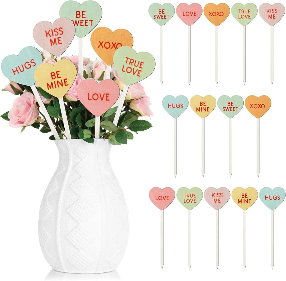TICIAGA 14PCS Valentine’s Day Decorative Picks Double-sided Wooden Heart Picks with Word Romant... | Amazon (US)