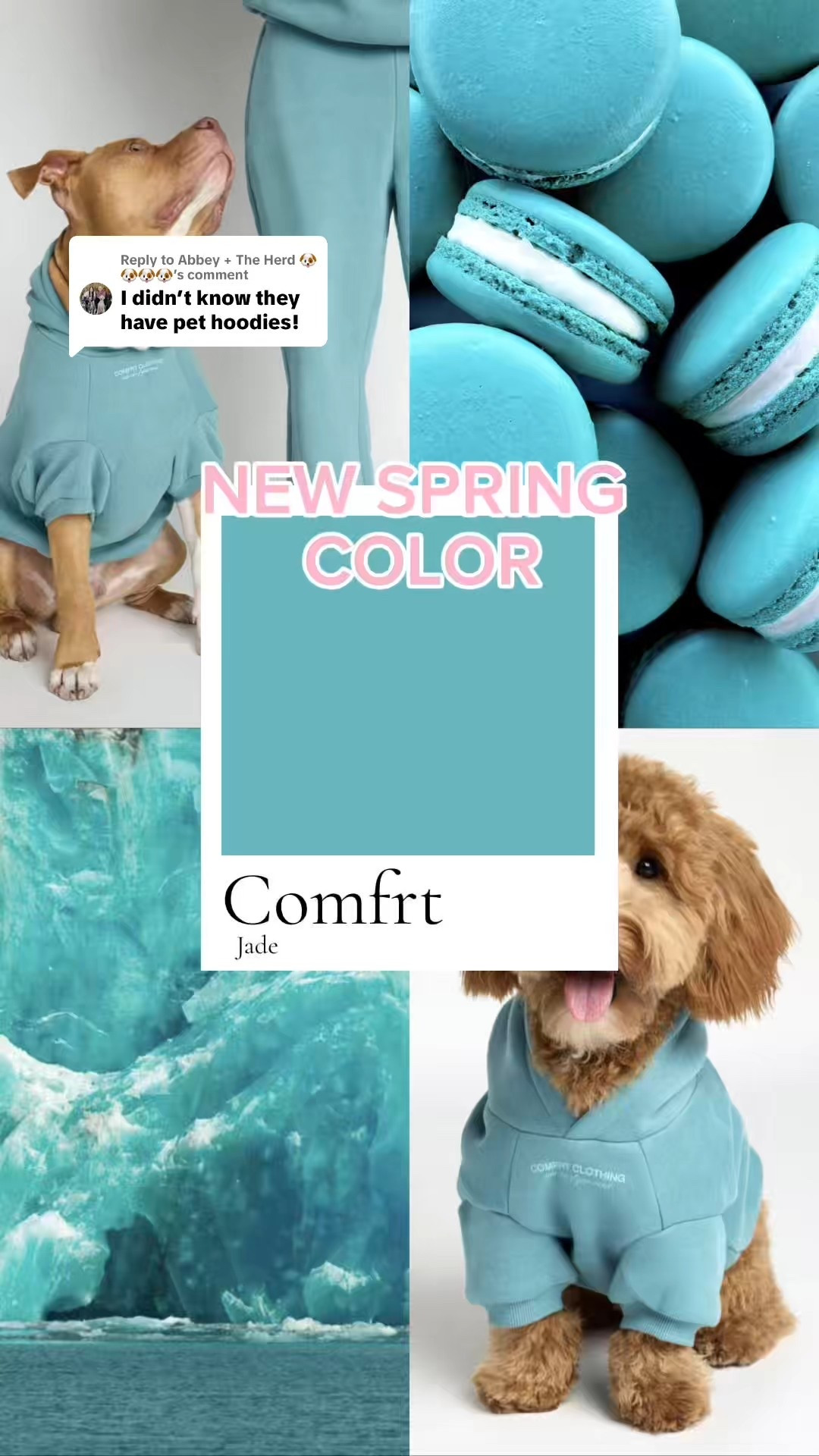 obsessed w this color #comfrt

#LTKPets #LTKSaleAlert #LTKFindsUnder50
