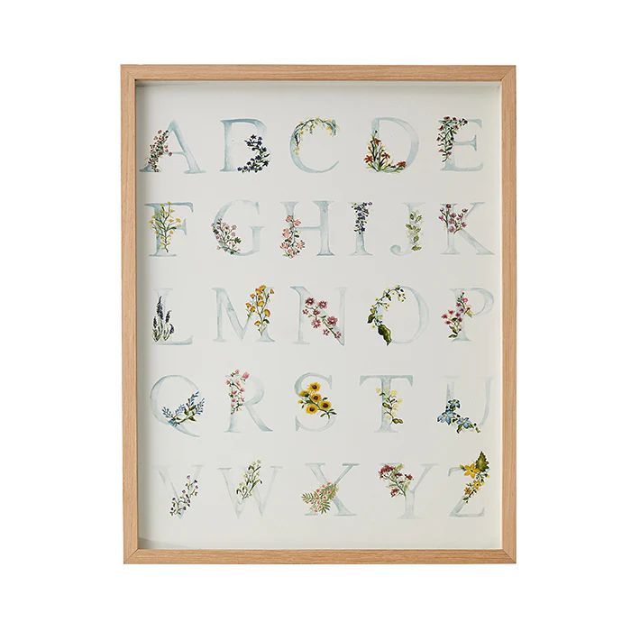 Botanical Alphabet | Caitlin Wilson Design