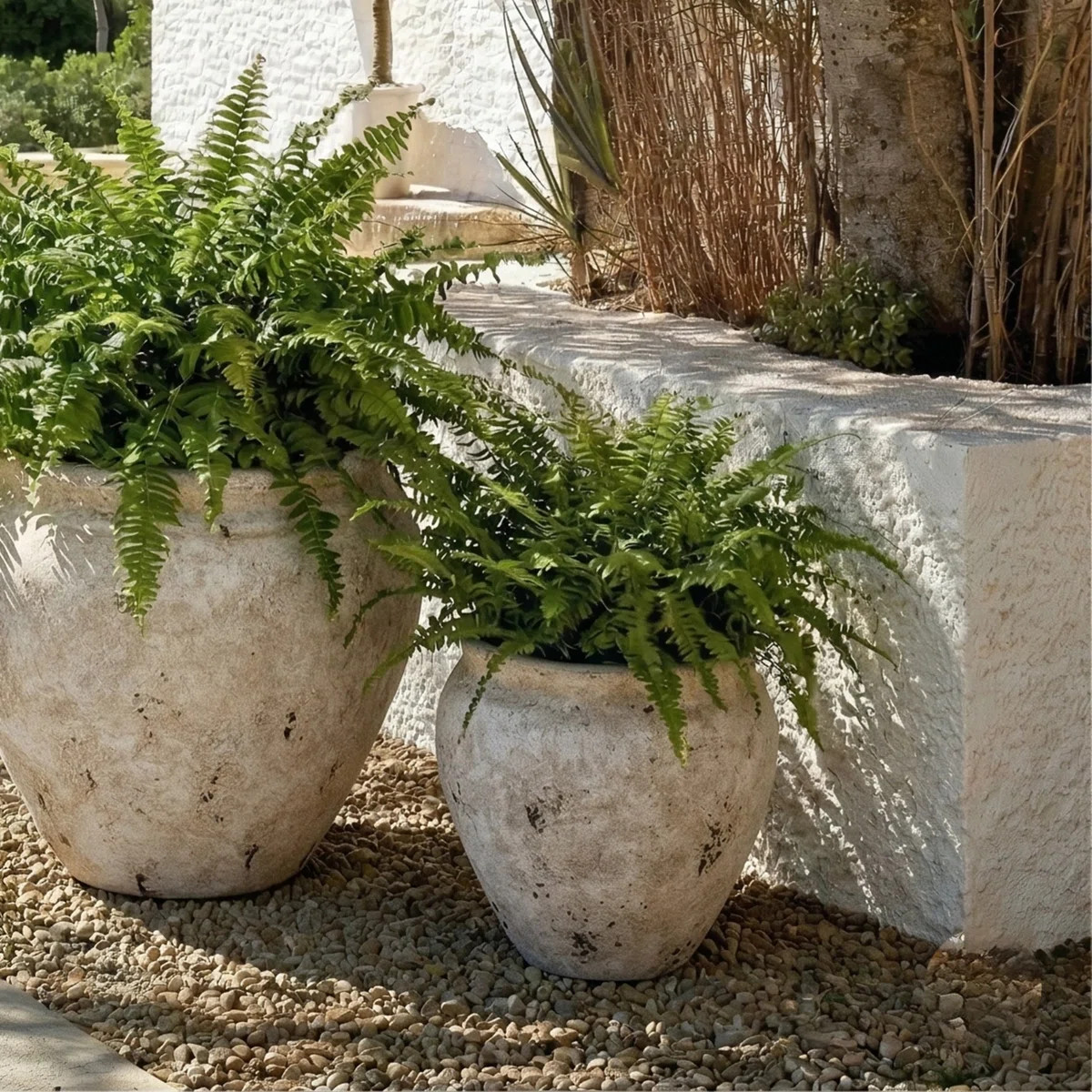 Ramsey Planter Pot | Wayfair North America