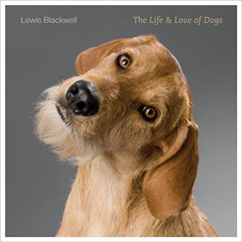 The Life and Love of Dogs



Hardcover – Illustrated, September 23, 2014 | Amazon (US)