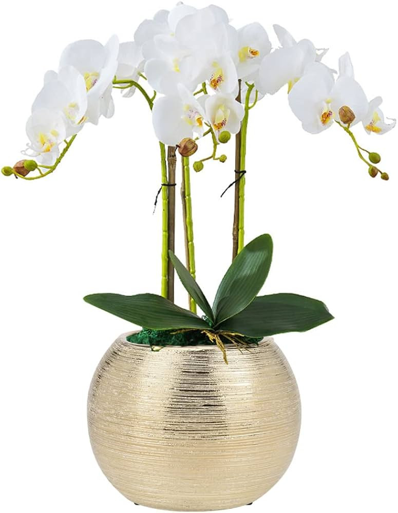 Gold Ceramic Flower Vase Home Decor Vase Centerpieces Vases Metallic Round Bowl Vases for Living ... | Amazon (US)
