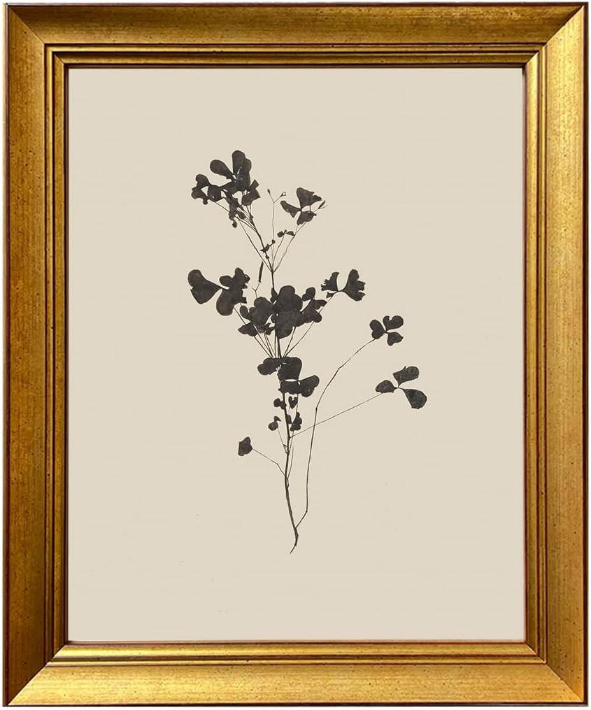 Vintage Neutral Floral Sketch Painting Gold Framed Flower Wall Art Minimalist Botanical Fine Art ... | Amazon (US)