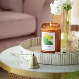 Habitat Scented Jar Candle - Geranium & Basil | Habitat UK