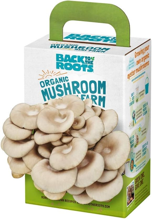 Back to the Roots Organic Mini Mushroom Grow Kit, Harvest Gourmet Oyster Mushrooms In 10 days, T... | Amazon (US)