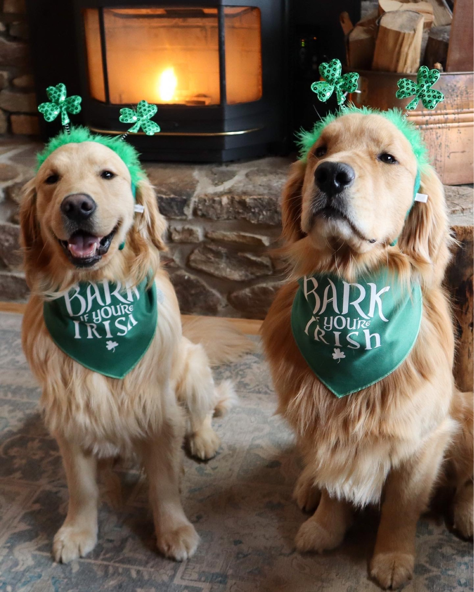 St patty’s day accessories! Similar linked below

#LTKstyletip #LTKSeasonal #LTKunder50