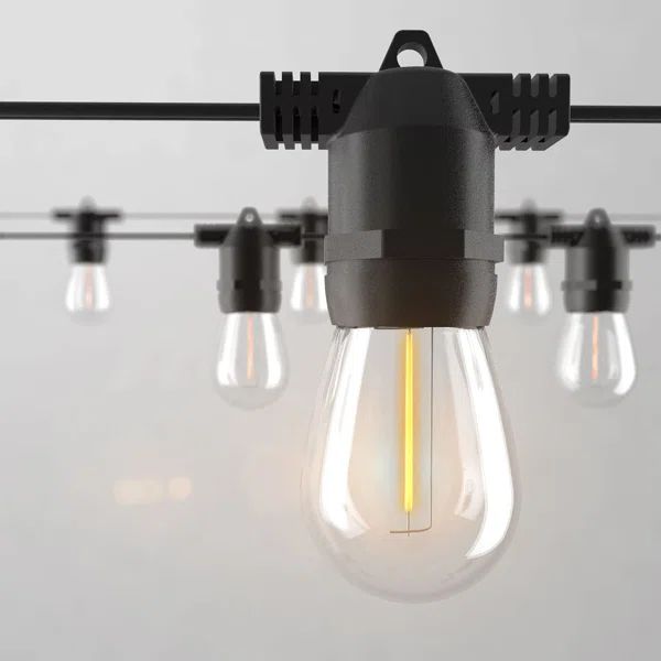 Kanora LED Outdoor Globe String Lights 48FT 15 Edison Bulbs Plug-in Waterproof Connectable Light | Wayfair North America