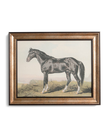 16x20 Black Horse Wall Art | TJ Maxx