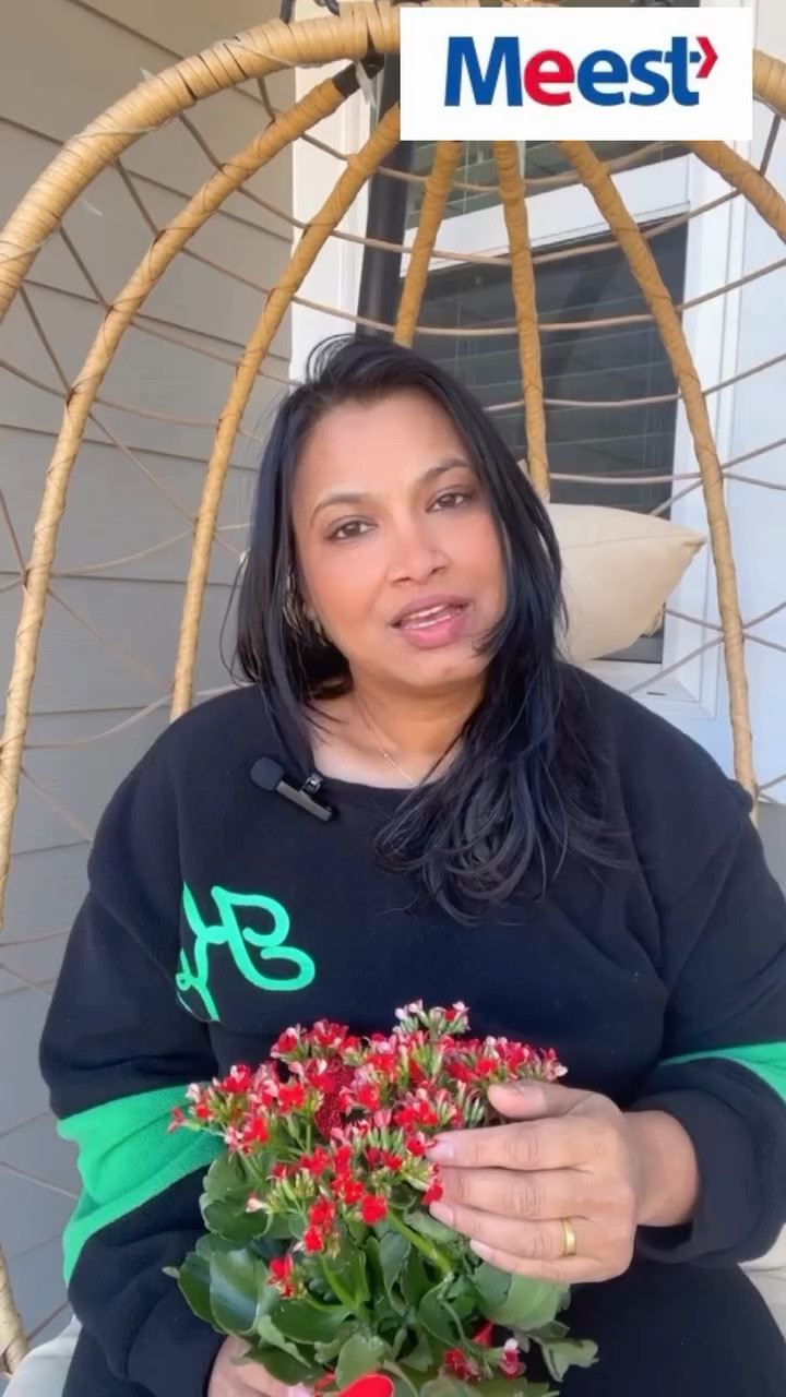 Living in the USA while my loved ones are in India means finding a hassle-free way to send them gifts and essentials. That’s where Meest @meestusa comes in! 

With just a few simple steps, I can send packages easily: 
1. Register on the Meest portal, enter the destination country, package details, and weight. 
2. Add recipient info, sign, and pay—and Meest generates the shipping label! 

Enjoy “$15 off for shipping to India using code “”today! 

Once the label is attached, drop it off at any Meest, UPS, FedEx, or USPS location, or have UPS pick it up from my doorstep! 
Download the Meest app or visit www.meest.com to get started. Meest—connecting hearts, delivering happiness! 

#MeestUSA #ShippingSimplified #StayConnected #SendLove #meest #meestusa #shippingmadeeasy #shippingworldwide #usatoindia #deliveryservice #sendgifts