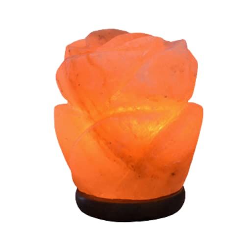 Flower Pink Himalayan Salt Lamps Natural Crystal Hymalain Rock Lamp for Gifts, Air Purifying, Indoor | Amazon (US)