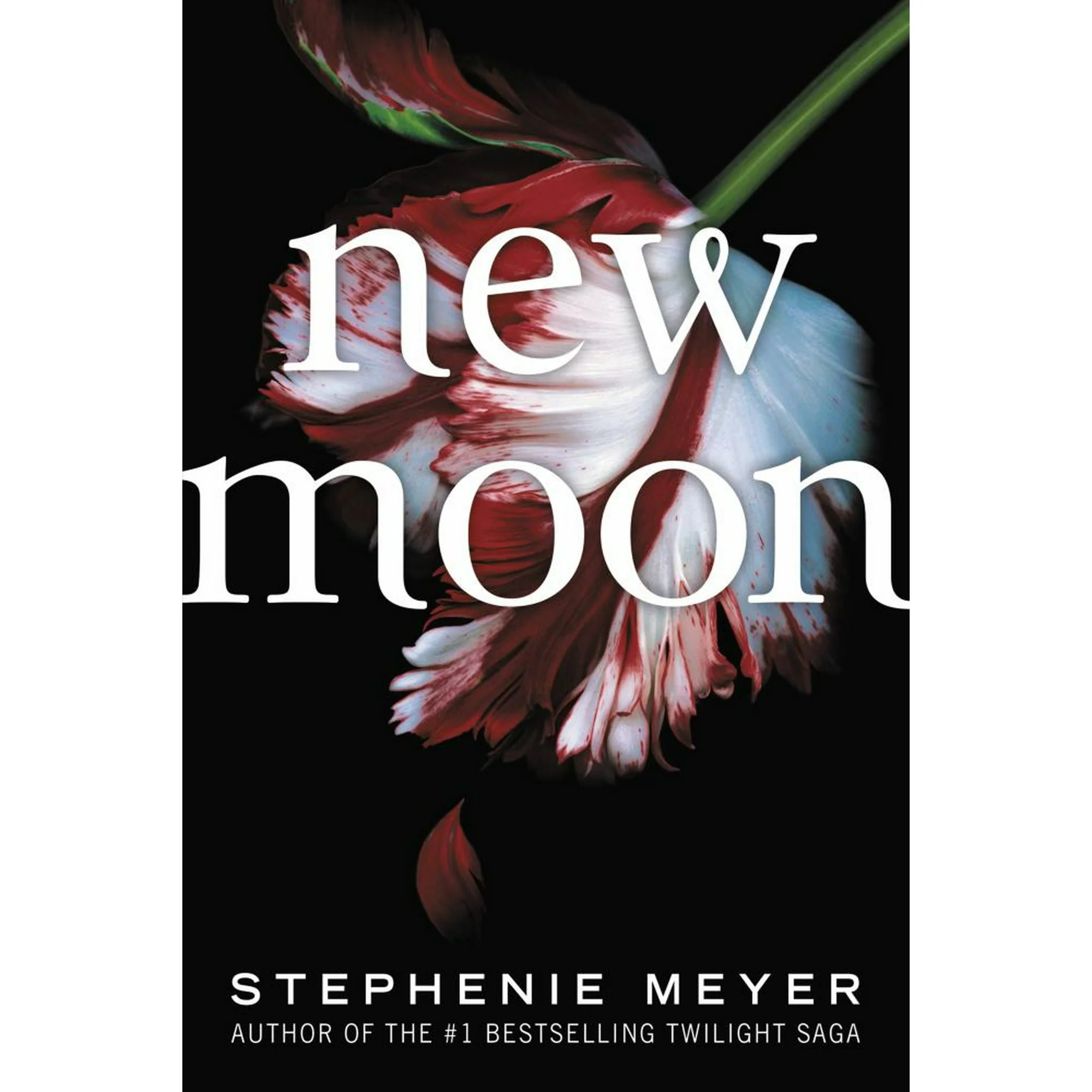 New Moon (New edition) (Paperback) | Walmart (US)