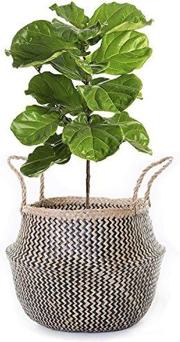 BeeGreeny Handwoven Seagrass Belly Basket | Black Zig-Zag Foldable Storage Basket with Handles fo... | Amazon (US)