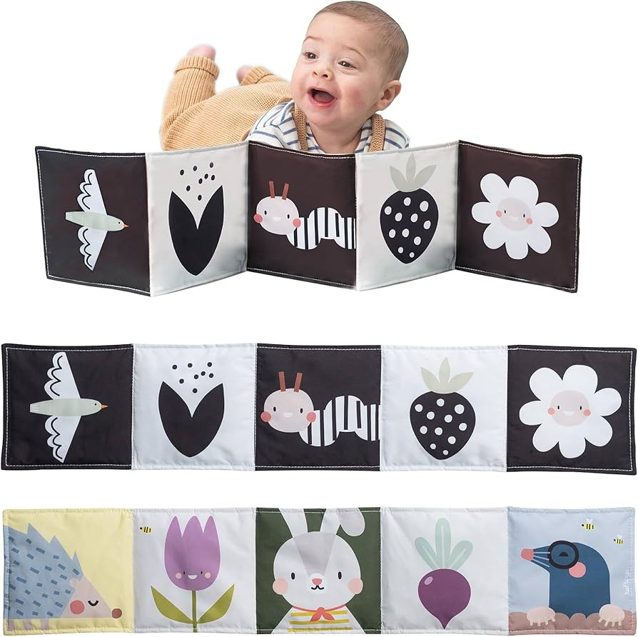 Taf Toys Bunny Black and White Soft Sensory Books Pram Book, High Contrast Baby Toys 0-3-6 Months... | Amazon (US)