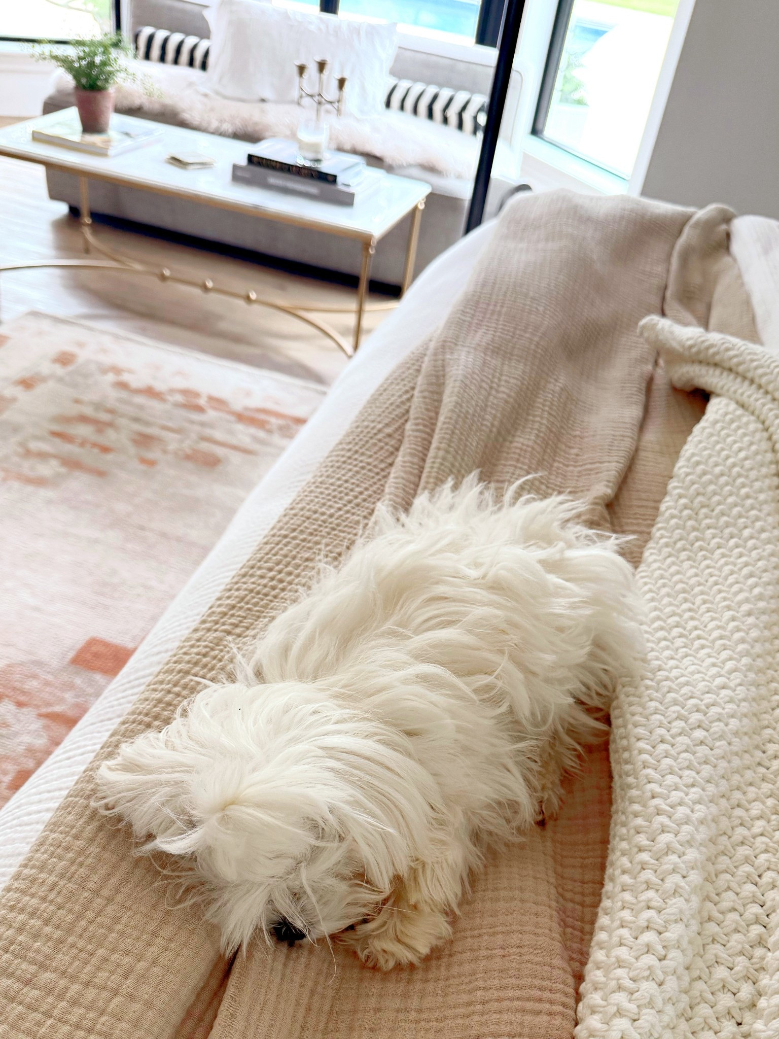 Bedroom bedding sweet dreams. We cannot get enough of everything @onequince Organic Bamboo sheets hypoallergenic moisture wicking best night’s sleep 

#LTKPets #LTKStyleTip #LTKHome