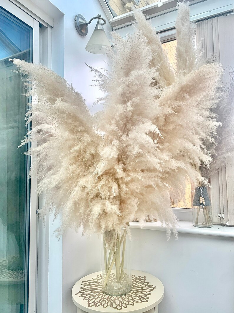 SALE Extra Fluffy Cream Natural Pampas Grass 60-120 Pampas - Etsy | Etsy (US)