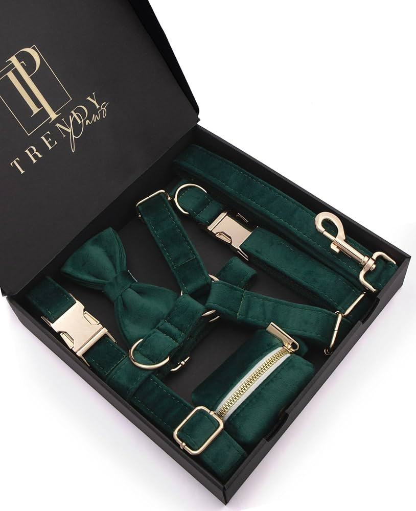 Green Velvet Dog Set, Luxury Outfit with Cute Collar, Chest Harness, Leash – Tailored for for S... | Amazon (US)