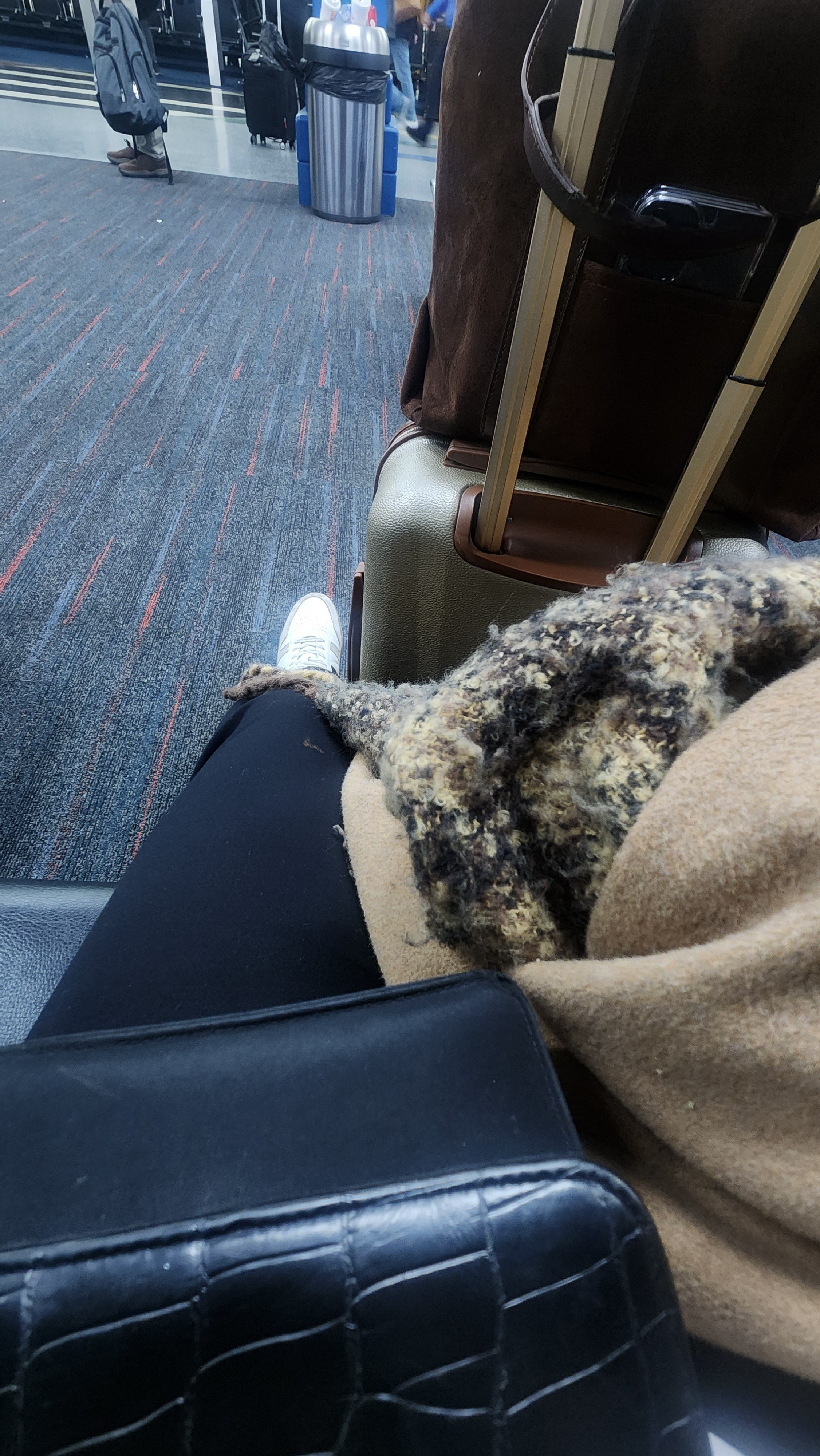 Travel essentials. 

#LTKTravel #LTKootd #LTKdayinmylife