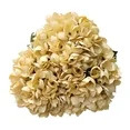 My Texas House Fall Faux Hydrangea Bundle, Cream, 20" | Walmart (US)