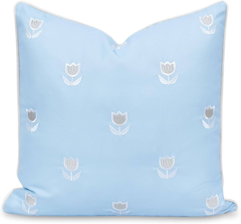 Hofdeco Premium Coastal Patio Indoor Outdoor Throw Pillow Cover Only, 20"x20" Water Repellent for... | Amazon (US)