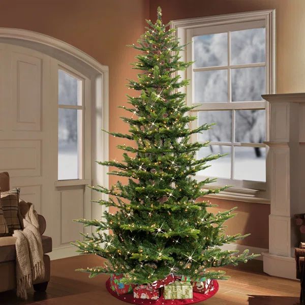 Pre-lit Aspen Green Fir Artificial Christmas Tree with Clear/White Lights | Wayfair Professional