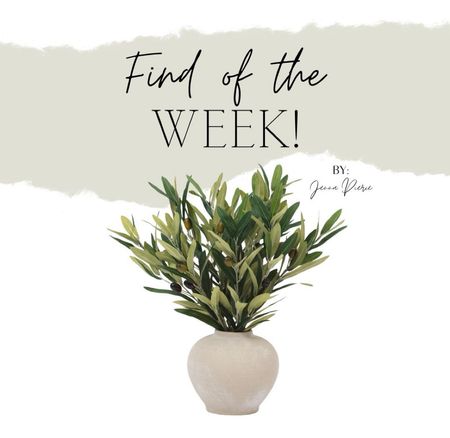🚨Find of the week! 🚨 SUCH a great price on this rustic accent arrangement 😍 #ltkhome #homedecor #rustichome 

#LTKhome #LTKfindsunder50