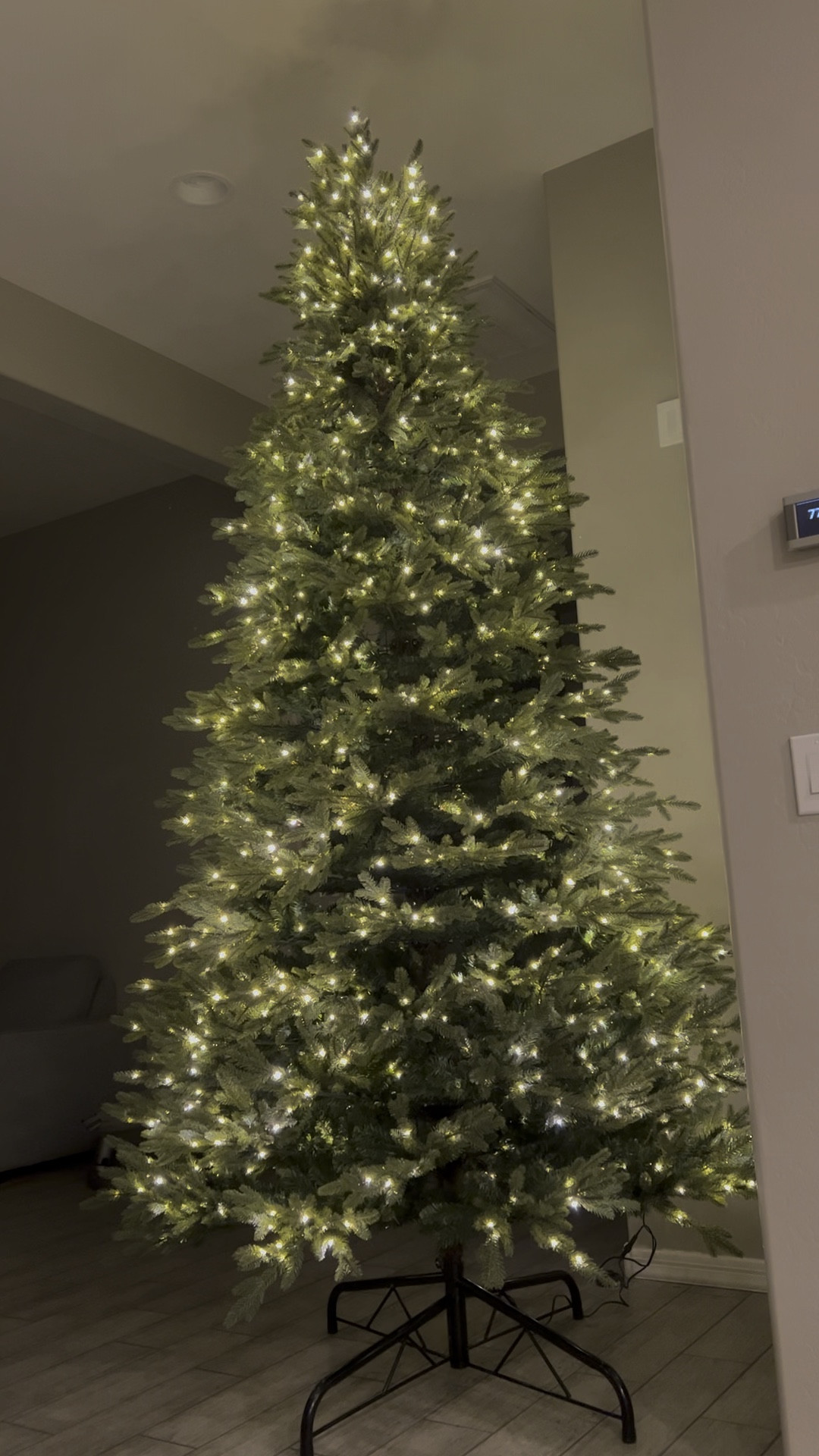 Our tree!🎄 // Home Depot 9 ft. Pre-Lit LED Jackson Noble Fir Artificial Christmas Tree — Literally identical to the viral tree Grand Duchess Balsam Fir, but costs a hundred or so dollars less✨ 

#christmas #holidays #christmastree #noblefirtree #treesale #holidaysale #bestseller #homedecor #holidaydecor #viraltree #bestseller  #jacksonnoble #artificialchristmastree #homedepot #homedepotfinds #homedeportree #homefinds #9ftchristmastree #viralchristmastreesale #artificialchristmastree #artificialtree #homedepottree #homedepotviraltree #viralchristmastree

#LTKVideo #LTKSeasonal #LTKHoliday