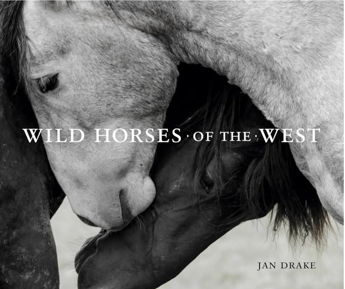 Wild Horses of the West Book | Dwell Home Co.