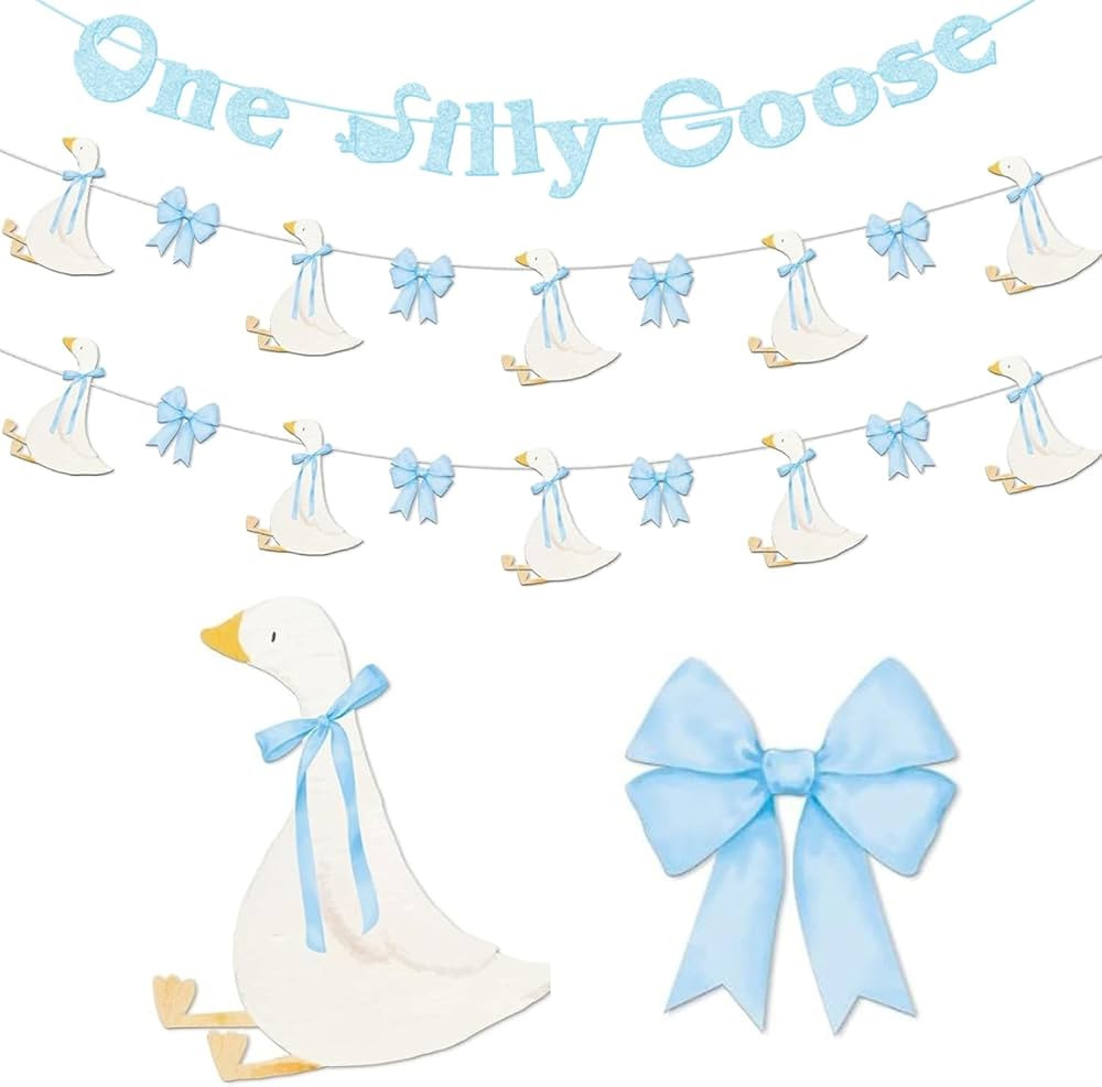 3 Set One Silly Goose Banner, One Silly Goose Birthday Decorations Boy Baby Shower themed for Goo... | Amazon (US)