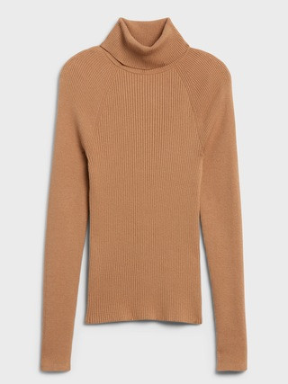 Ribbed Turtleneck Sweater | Banana Republic (US)