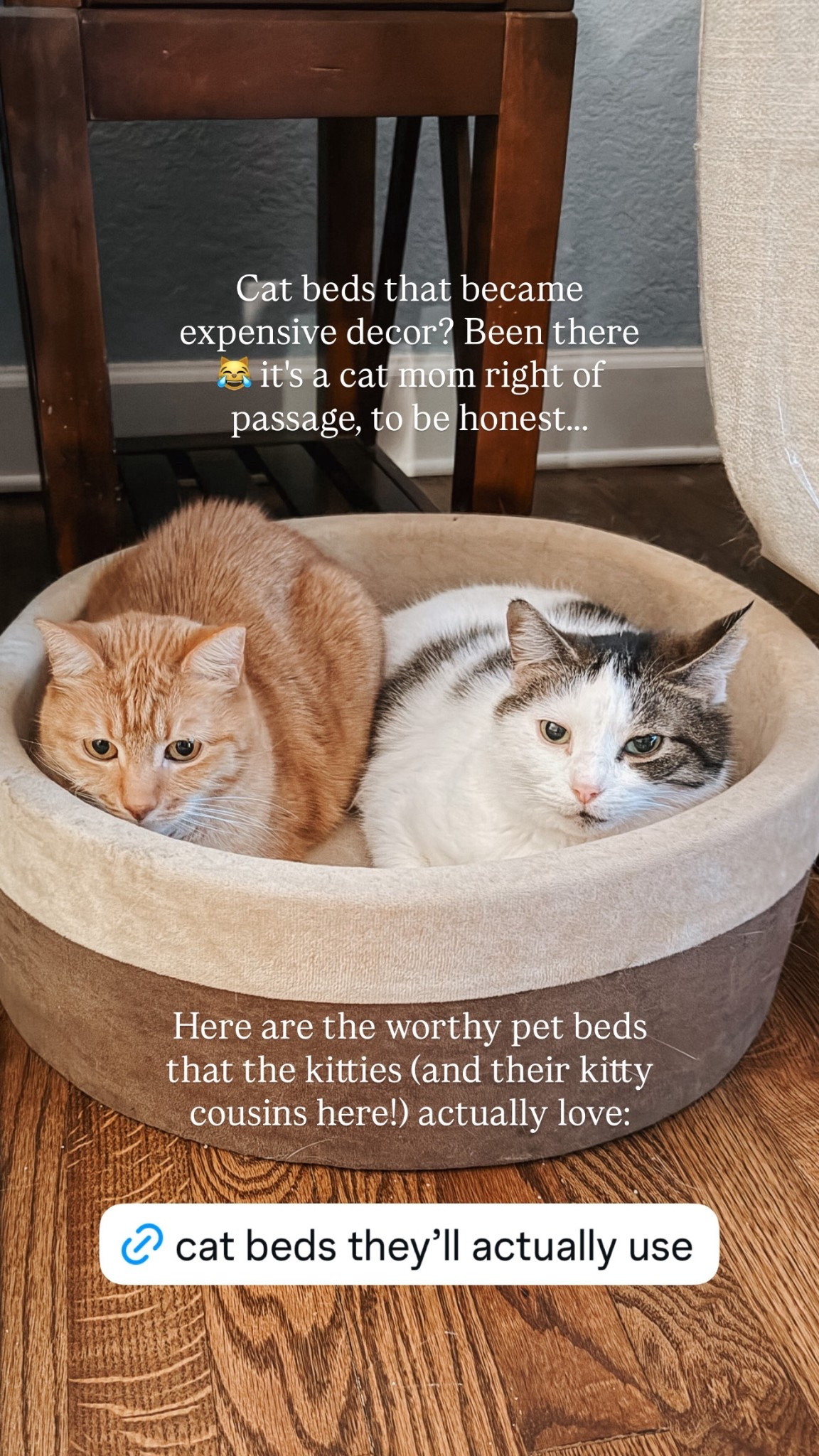 I’ve bought cat beds that turned into expensive home decor. You probably have too.
But after years of testing, I finally found the ones my cats actually use. Heated beds for cozy naps, memory foam bolster beds for curling up, and elevated slings for keeping an eye on everything.
Here are my top picks for cat beds that cats won’t ignore

#LTKstorytime #LTKselfcare #LTKHome