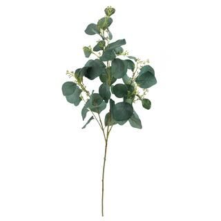 Eucalyptus Leaf Stem by Ashland® | Michaels Stores