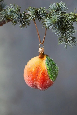 $24.00 | Anthropologie (US)