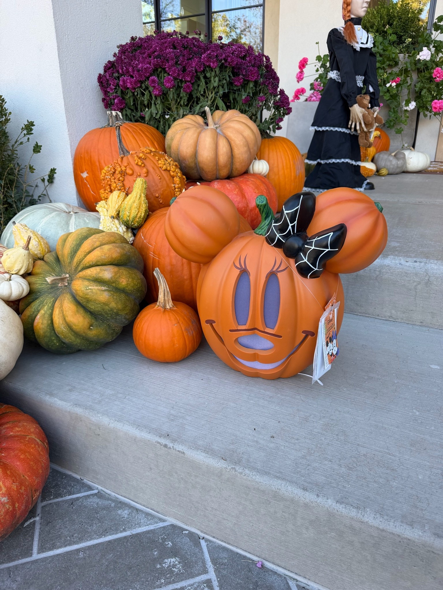 How cute is this Minnie Mouse pumpkin?!

#LTKSeasonal #LTKHome #LTKKids