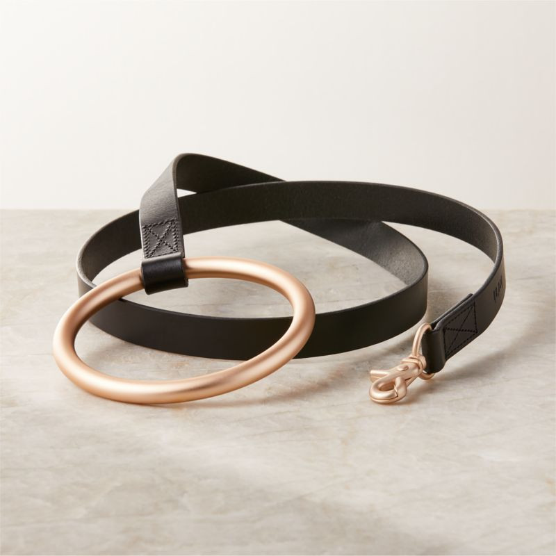 Boo Oh Lumi Black Leather and Gold Metal Pet Leash + Reviews | CB2 | CB2